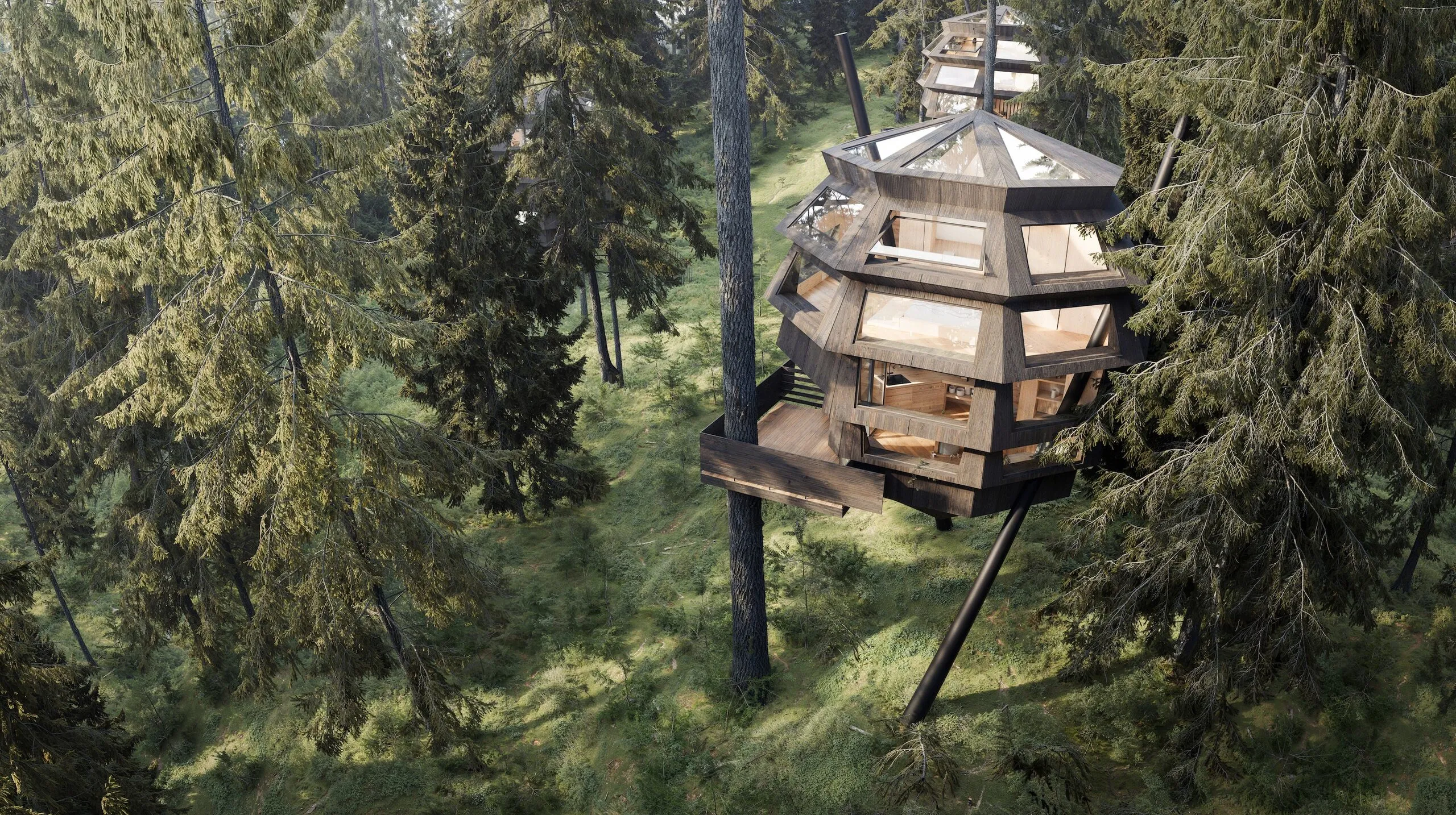Dormir dans les arbres dans la forêt de Nax