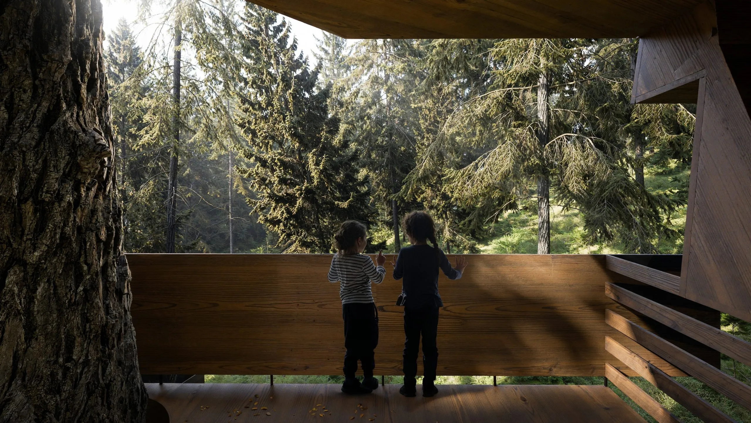 Projet Nestwood – Valais, Nax