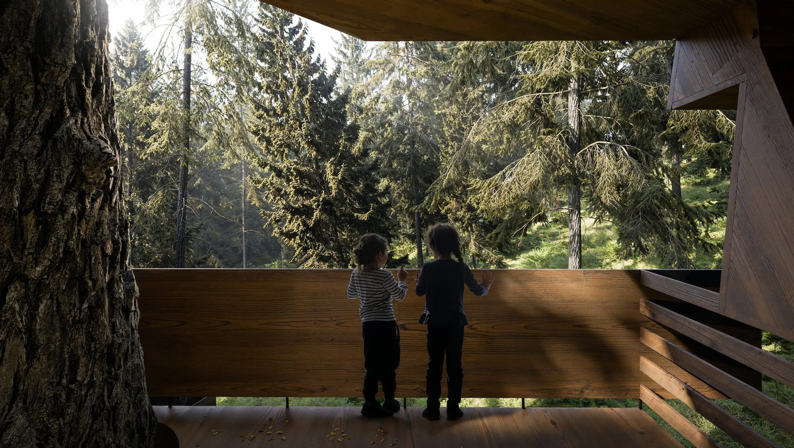 Dormir dans les arbres dans la forêt de Nax