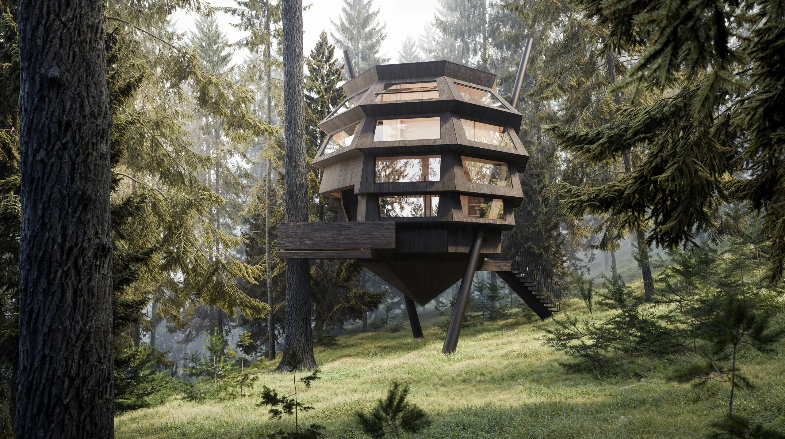 Dormir dans les arbres dans la forêt de Nax